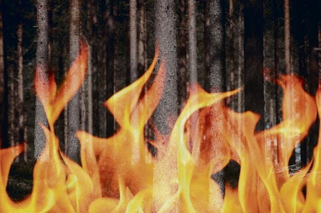 Koko Pohjanmaan alueella on voimassa metsäpalovaroitus. Pohjanmaan ja Etelä-Pohjanmaan pelastuslaitoksien pelastuspäälliköt muistuttavat, että luontoon ei missään nimessä saa nyt avotulta tehdä. KUVITUSKUVA: HELI MIKKONEN