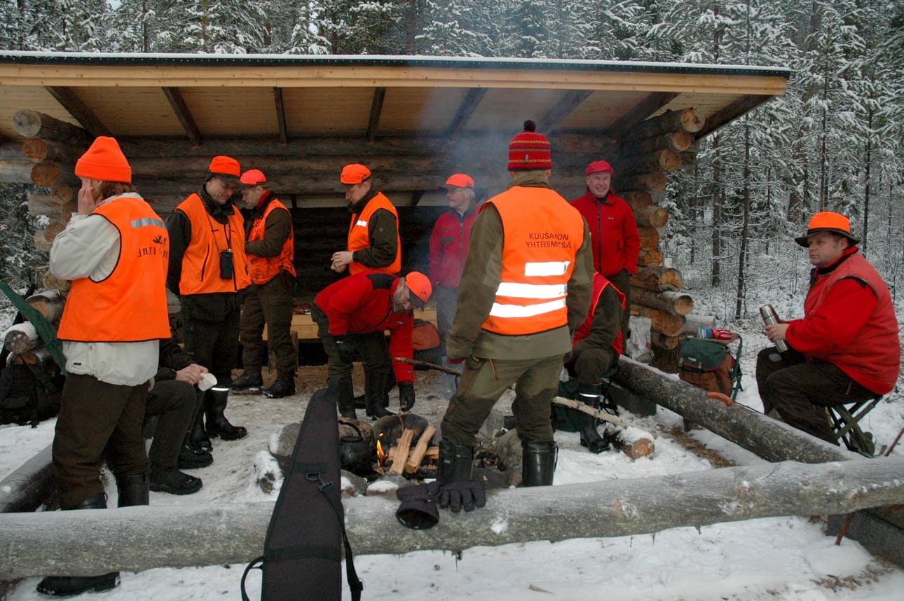 Metsästäjien suorittaman laskennan mukaan suurin hirvisuma on nyt saatu purettua. Tulevina vuosina metsästäjät joutuvat tyytymään vähäisempään lihasaaliiseen.