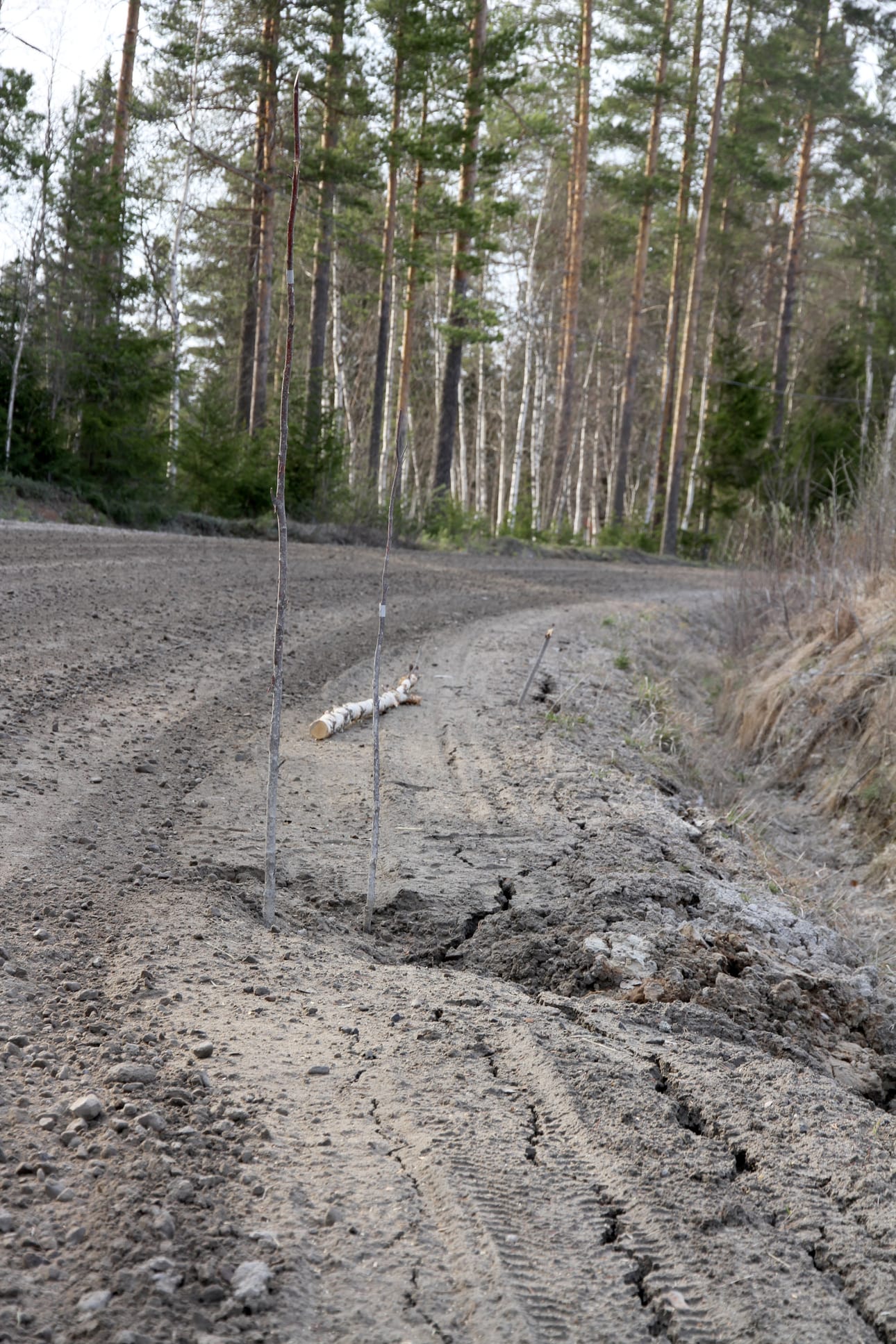 Hailuodossa yksityisteitä on reilut 50 kilometriä. Tiekuntia on herätelty toimimaan. Tämän vuoden alusta yksityistielaki muuttui.