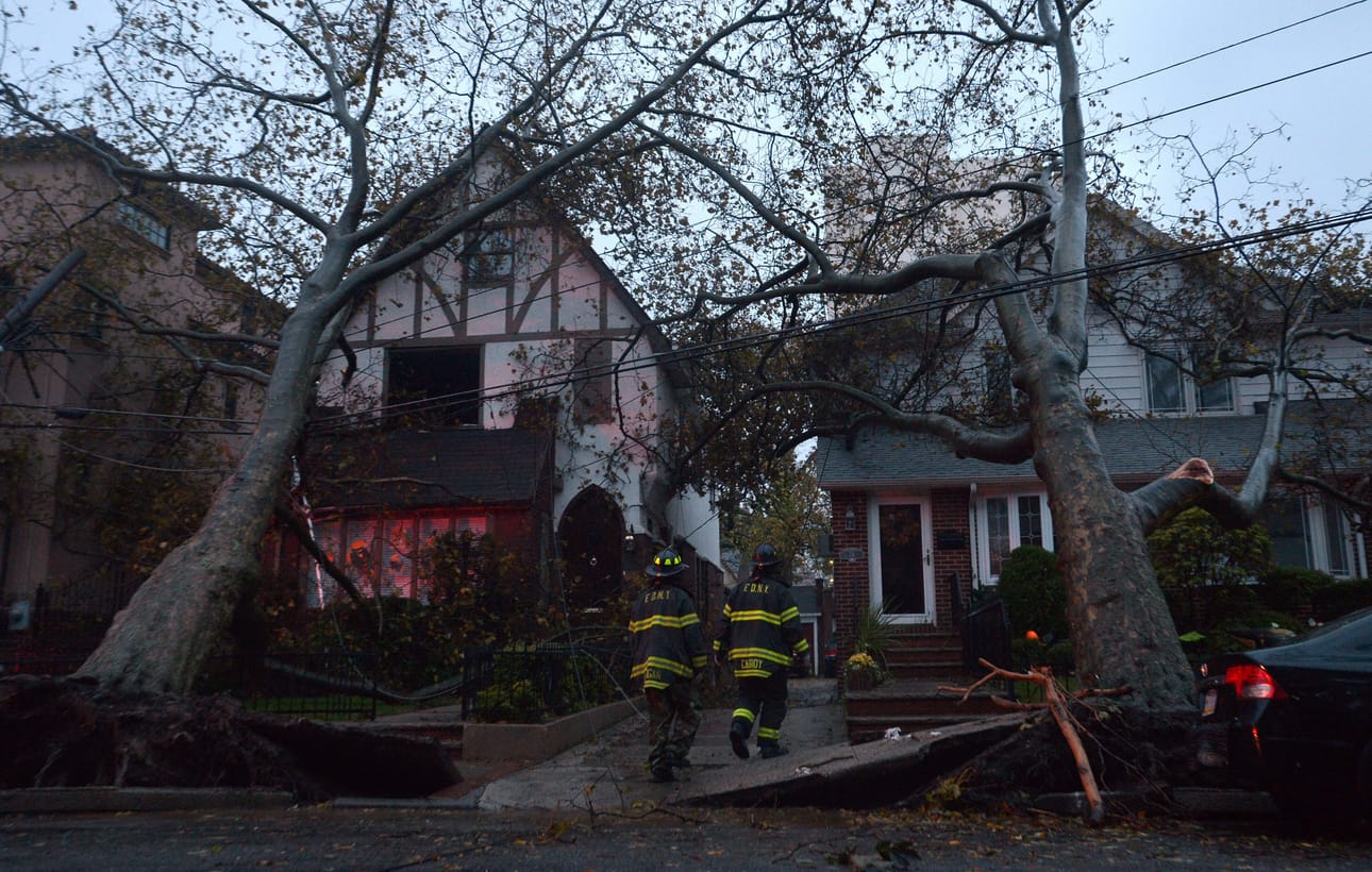 Brooklynissa New Yorkissa Sandy-myrsky kaatoi puita talojen päälle.