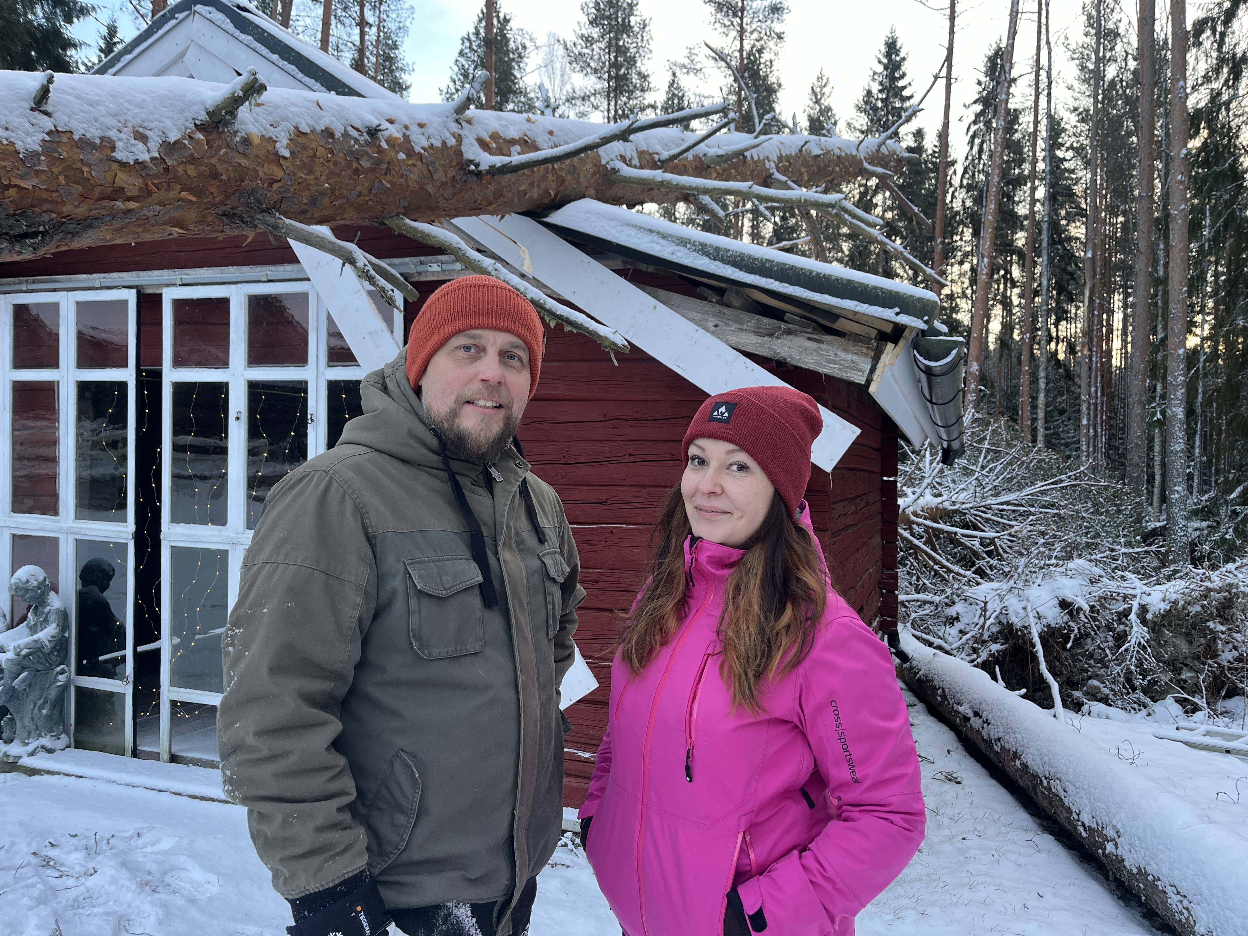 Hannes-myrsky kaatoi lähes 60 puuta Pirien pihalta