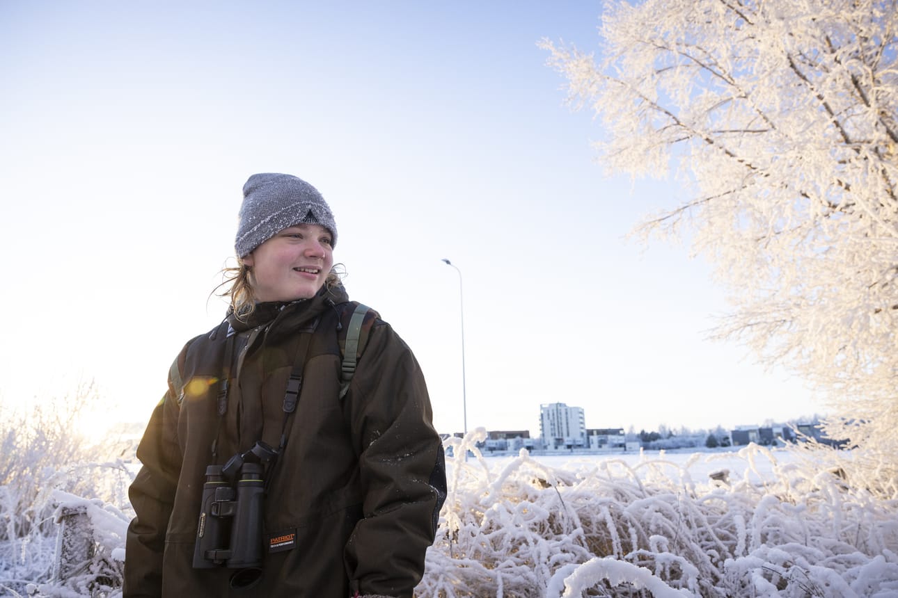 Hauska sukeltava varpuslintu koskikara kiinnostaa lintuharrastaja Eeli Vahtolaa.