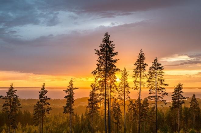 1. palkinto Tapio Niemi, kuva Lakeaharjulta.