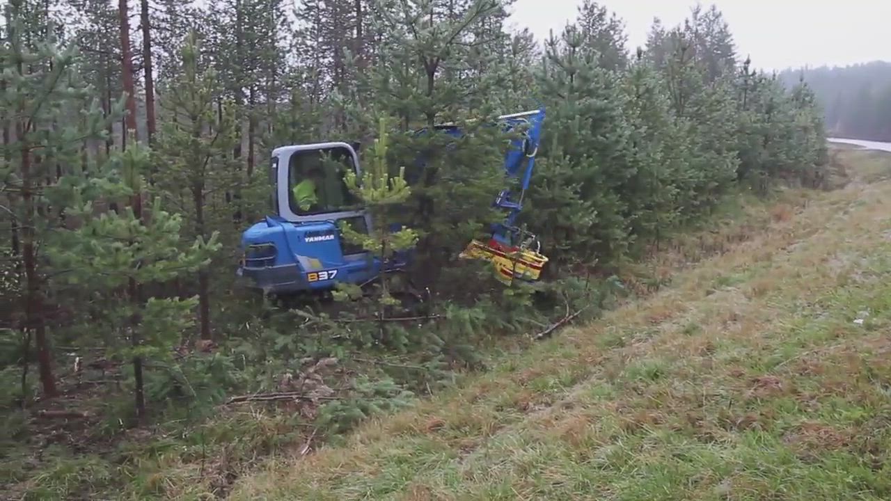 Kemijärvellä tehdään koneellista taimikonhoitoa,raivauslaitteen ohjaimissa Harri Heikkilä