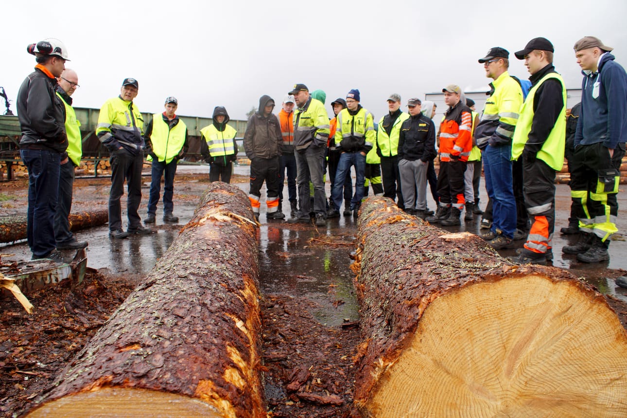Metsäalan opiskelijat tutustuvat tukkipuun ominaisuuksiin Kontion sahalla.