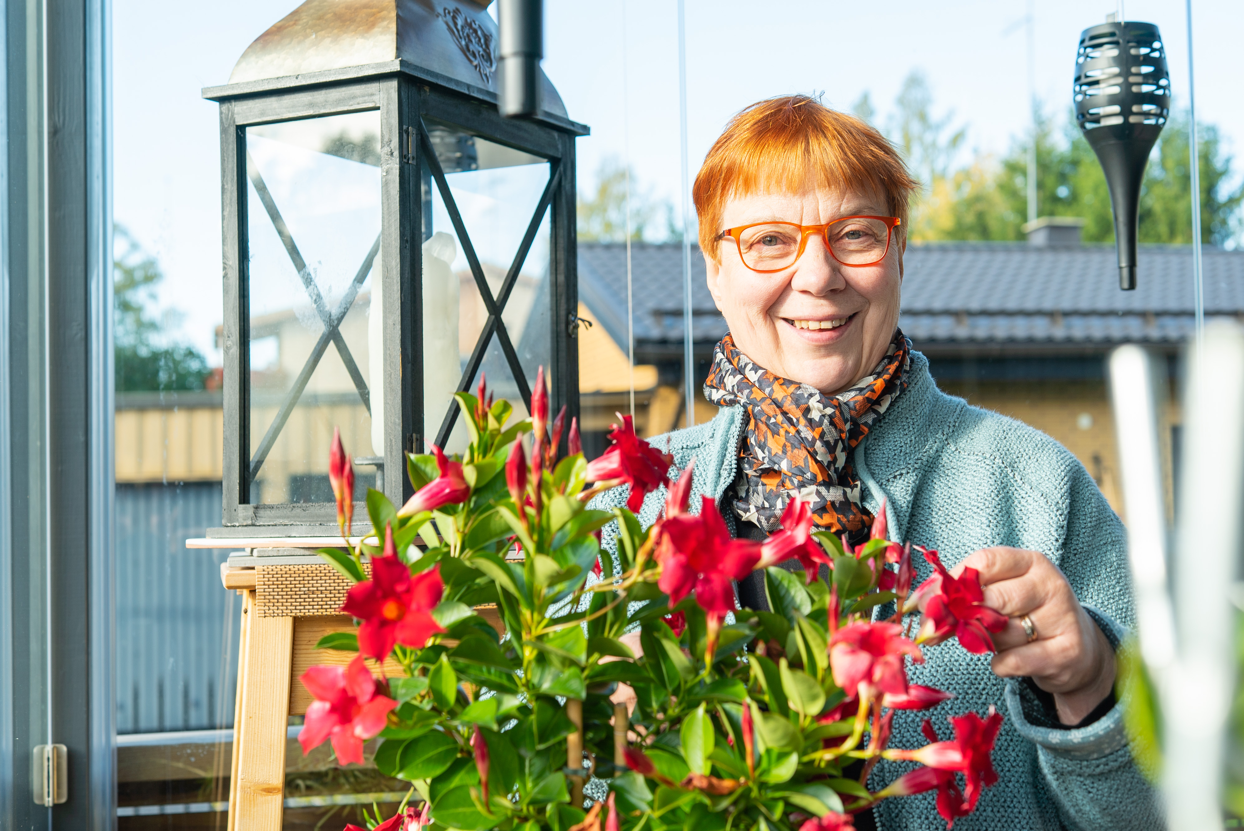 Mökin rauhaa keskellä kaupunkia