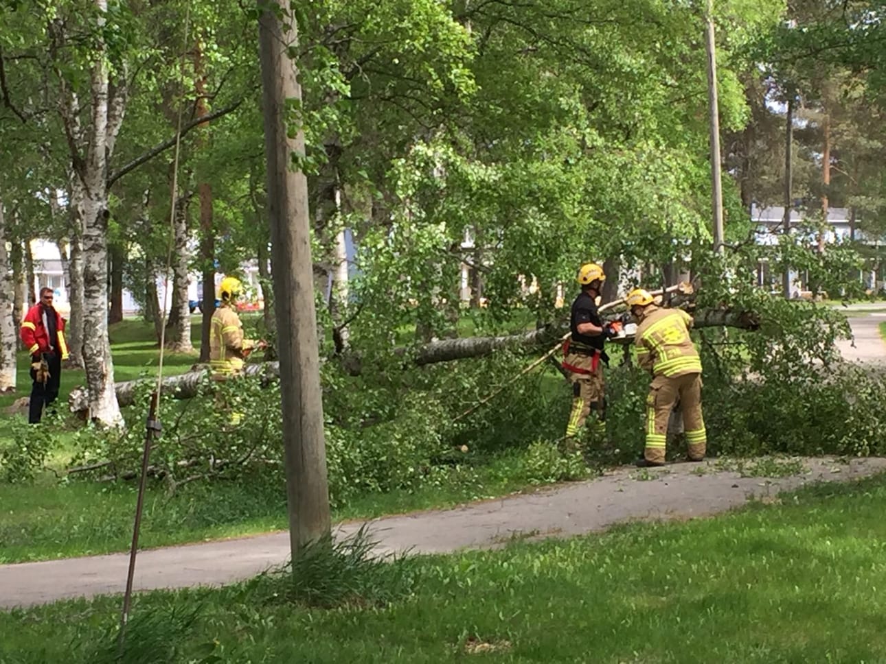 Tuuli kaatoi puun Etu-Nokelassa maanantaina aamupäivällä.