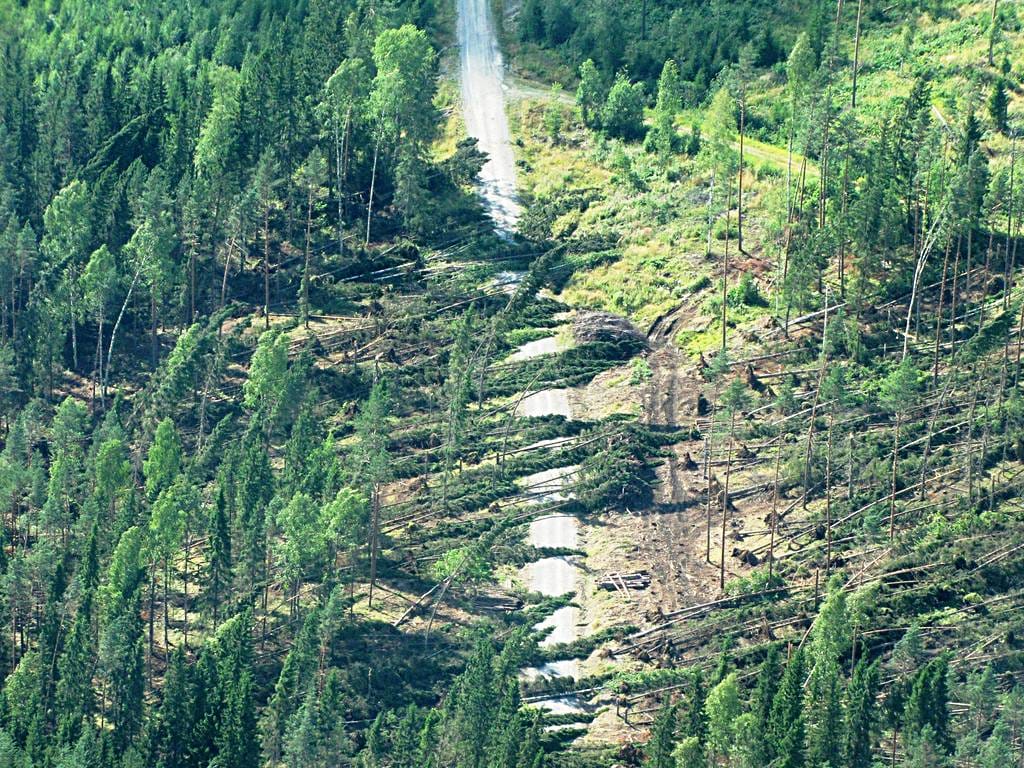 Viime viikolla Suomen etelä- ja keskiosia riepotteli Asta-myrsky.