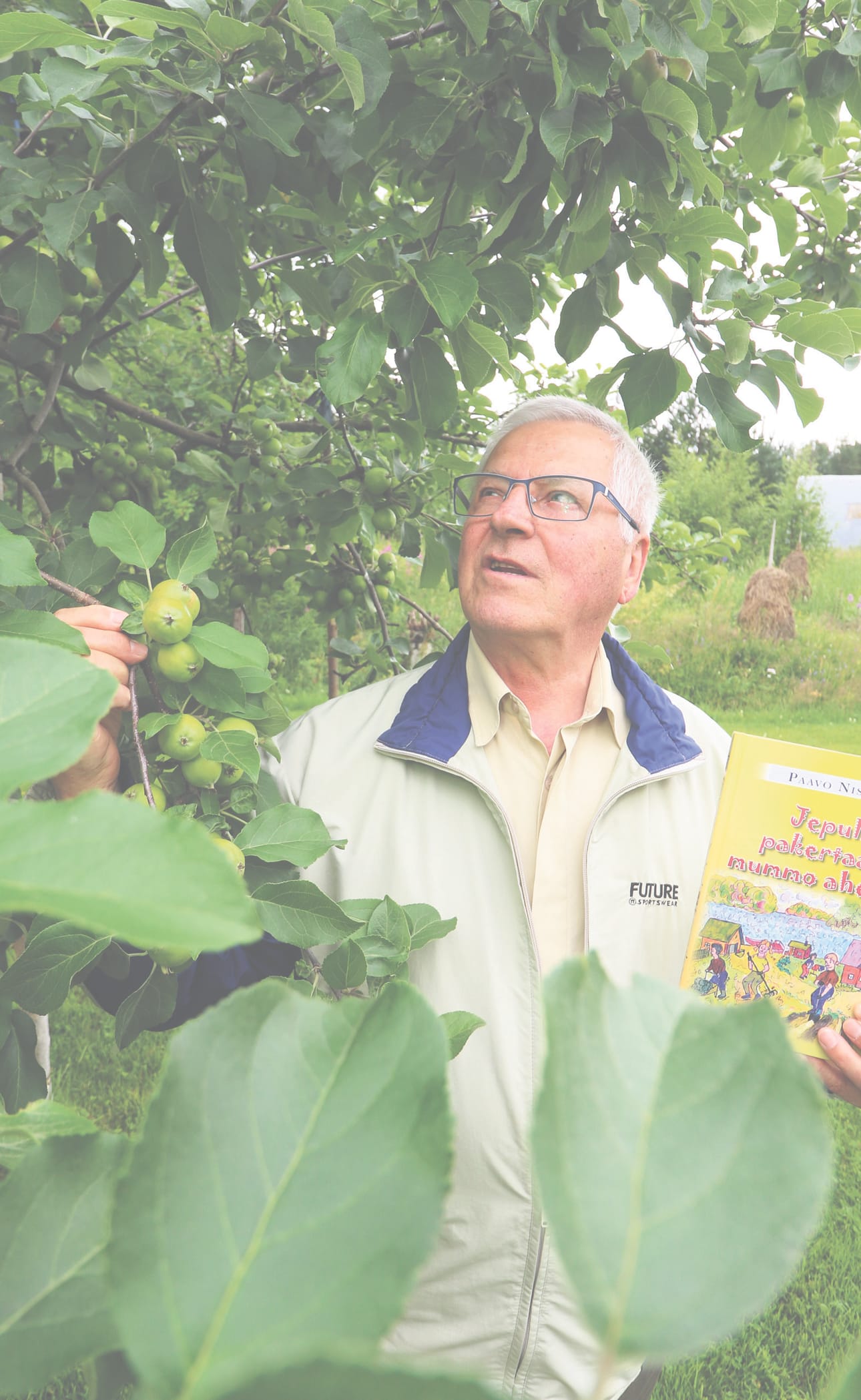Paavo Niskasaaren aikaa vie kirjoittamisen ja maalaamisen lisäksi puutarhanhoito. Kotipihan omenapuu antaa pian komeaa satoaan.