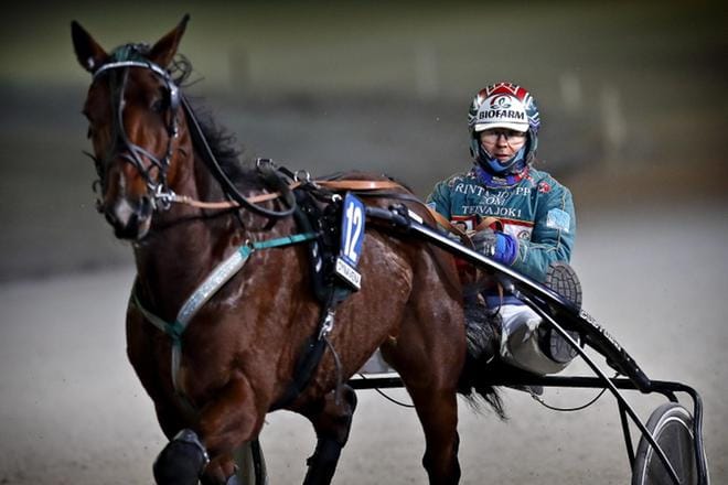Hannu Hietanen (kuvassa Azorit Lloyd) istuu illalla yhden lämminveristen Ilkka-ajon finaalin suosikin Smart Leaderin rattailla. KUVA: TOMI KOSONEN