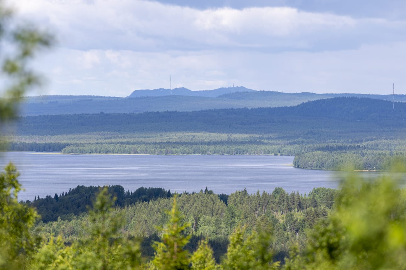 Tornista näkee selvällä säällä kauas.