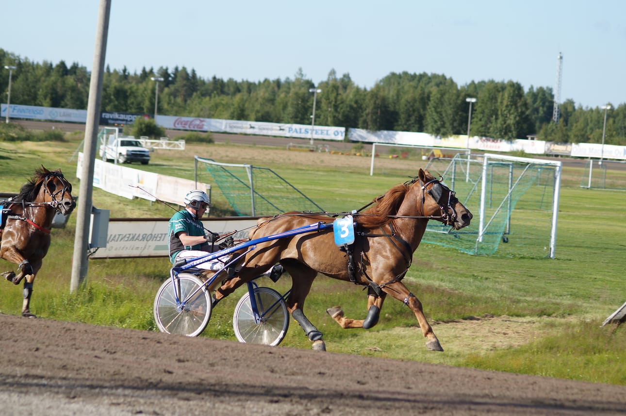Niko Jokelan ohjastama Aristokraatti oli tällä kertaa laukkojen hidastama.