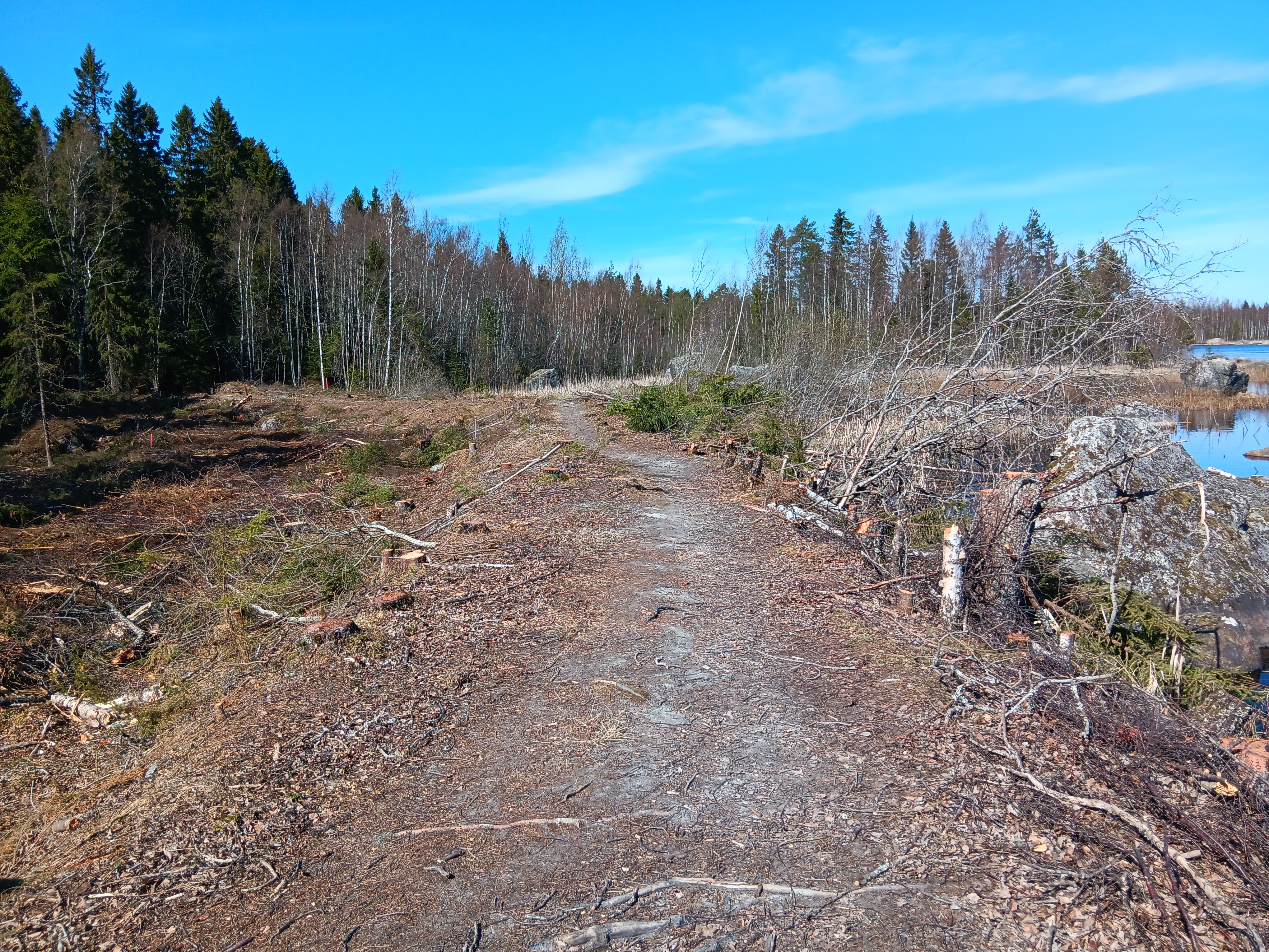 Metsää kaadettu Pilvilammen rannalta – Taustalla ei olekaan kohuttu metsäsuunnitelma