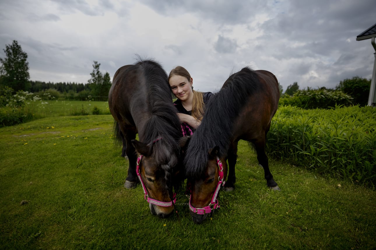 Koskenvallan omat raviponit Kaunisrannan Hercules "Herkku" ja Pikku Jättiläinen "Pikkis" asuvat hänen kotinsa pihapiirissä.