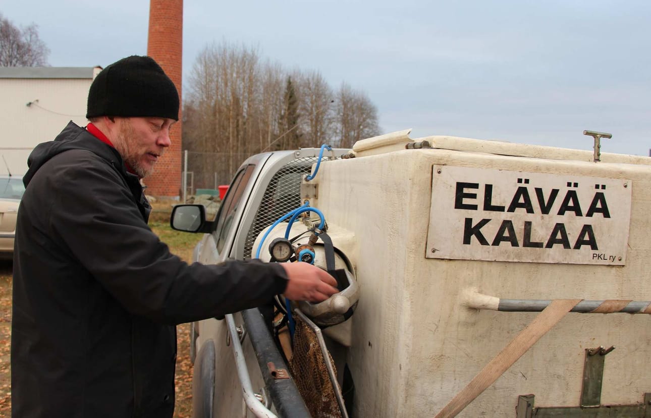 Kalatalousneuvoja Pasi Anttila esittelee kalustoa, jolla kalanpoikaset siirretään luonnonravintolammikoihin tai vesiin. Siirtovälineistö vastaa hallilaitteineen akvaariolosuhteita, Anttila vertaa.
