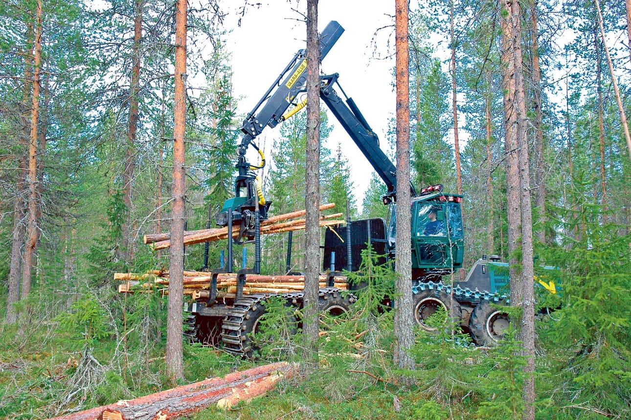 Metsäkoneilla on vientiä, mikäli energiapuun korjuutavoitteesta aiotaan pitää kiinni.