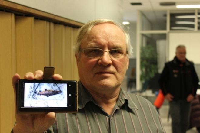 Markku Mäkelä oli ennen Ähtärin Inhankosken voimalahanketta esitellyttä yleisötilaisuutta käynyt kalastamassa, ja saaliiksi Inhanjoesta oli tullut komea taimen. KUVA: REIJO HEIKKILÄ