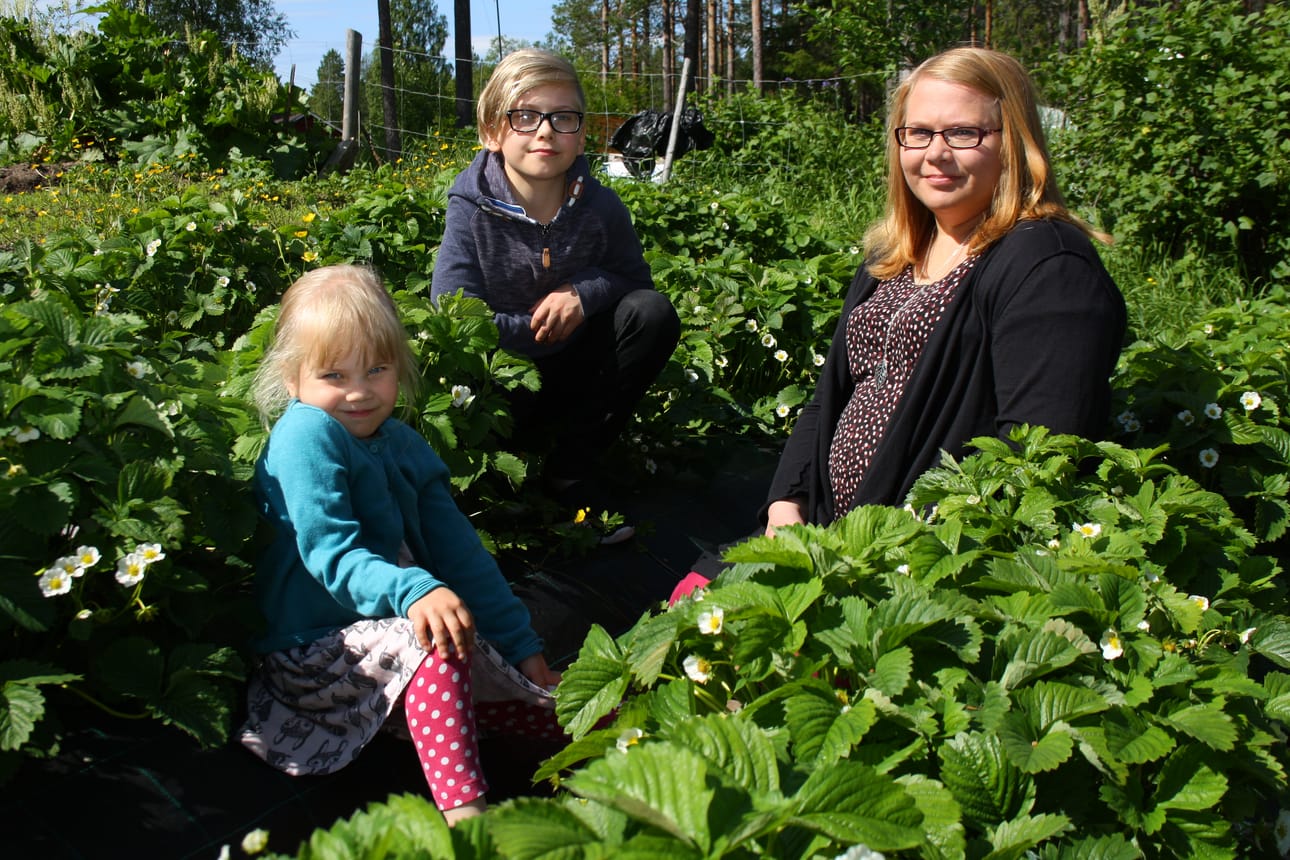 Seurakunnan nuorisotyönohjaajana työskentelevä Tiina Huhtala tuli syntymäkuntaansa Posiolle lastensa Nellan ja Nooan kanssa lyhyelle kesälomalle. Muikkumarkkinat työllistävät Tiinaa perjantaista sunnuntaihin. Lapset ovat olleet markkinoilla jo alle vuoden ikäisinä.