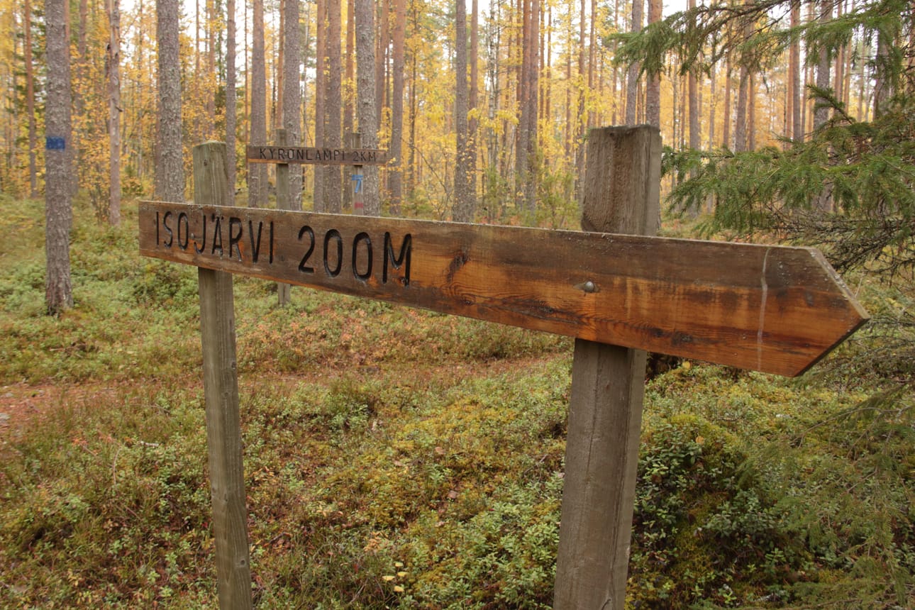 Suuri osa Suomen metsistä on tätä nykyä tavallista talousmetsää. Se eroaa valtavasti vanhoista metsistä, joita on ihmisten ulottuvilla yhä vähemmän.