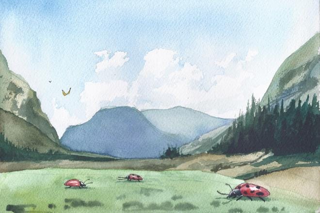 Harriet Burbeckin teos nimeltään ”beetle grazing”. Kuva: Harriet Burbeck.