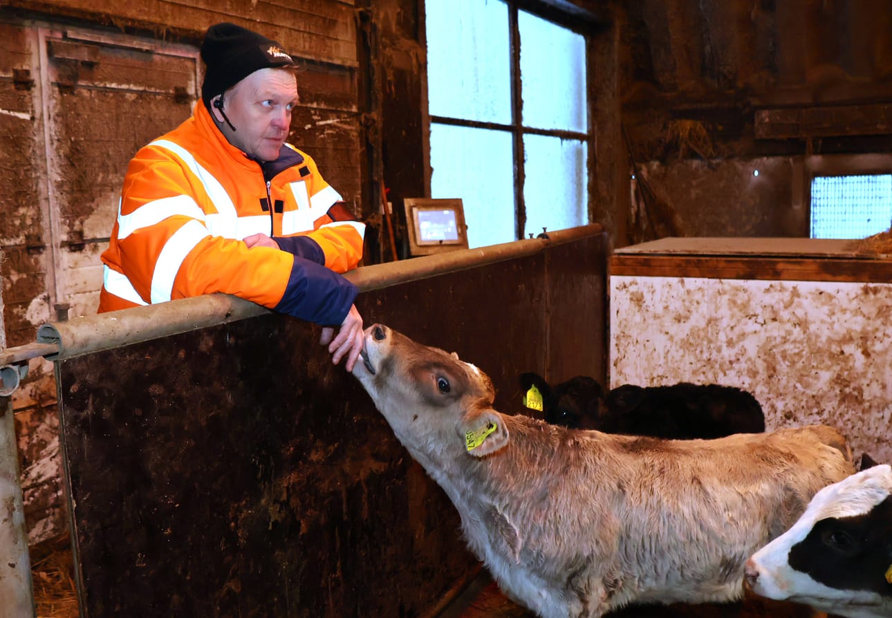 Jari Rintamäen karja on hänen kotipaikallaan Alahärmän Näsin kylässä. – Isän setä rakensi yhden navetan, isä yhden, ja minä olen tehnyt kaksi.