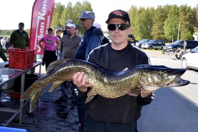 Lähetä kuva meille Järviseutuun: me koostamme kuvista kesätunnelmaa hehkuvan jutun. Lähetä kuva Järviseutu-lehden toimitukseen 7. kesäkuuta mennessä. Onko kesän paras hetki harrastusten parissa? Kuvassa Mika Valpas komean kalansaaliin kanssa. ARKISTOKUVA: MARKKU TURPELA