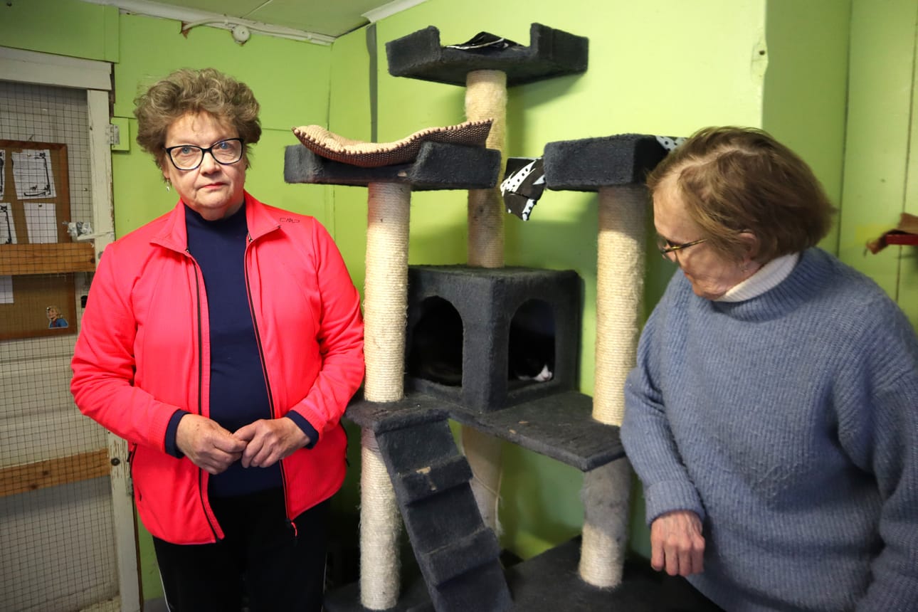 Kirsti Koivula ja Anneli Pouttu ovat tarkkaan suunnitelleet löytökissojen muuton. He kaipaavat suureen muuttourakkaan vapaaehtoisia käsipareja lajittelemaan ja kantamaan tavaroita sekä toimittamaan Stormossenille. Petunia-kissa nukkuu kiipeilypuun pesässä päiväunia, eikä murehdi muuttoa pätkääkään.