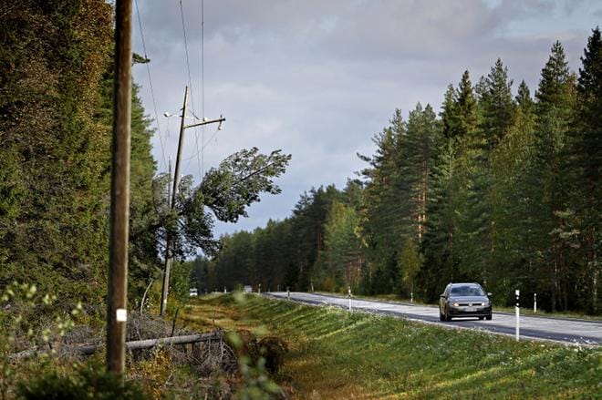 Sähkölinjoille kaatuneita puita tai kallellaan olevia puita, jotka ovat linjojen lähellä, ei saa omin päin mennä raivaamaan. Vaarapuista kuuluu ilmoittaa sähköyhtiölle. ARKISTOKUVA: KARI LÖFHJELM