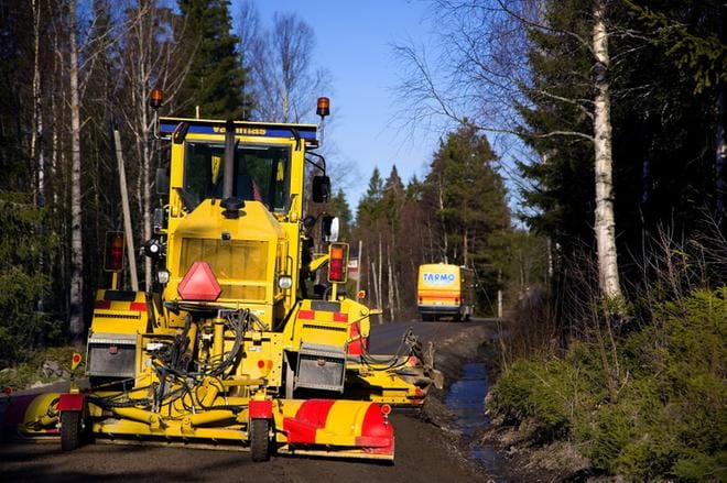 Tiekarhu on yksi varma merkki keväästä. Kuva Pekka Mäkynen
