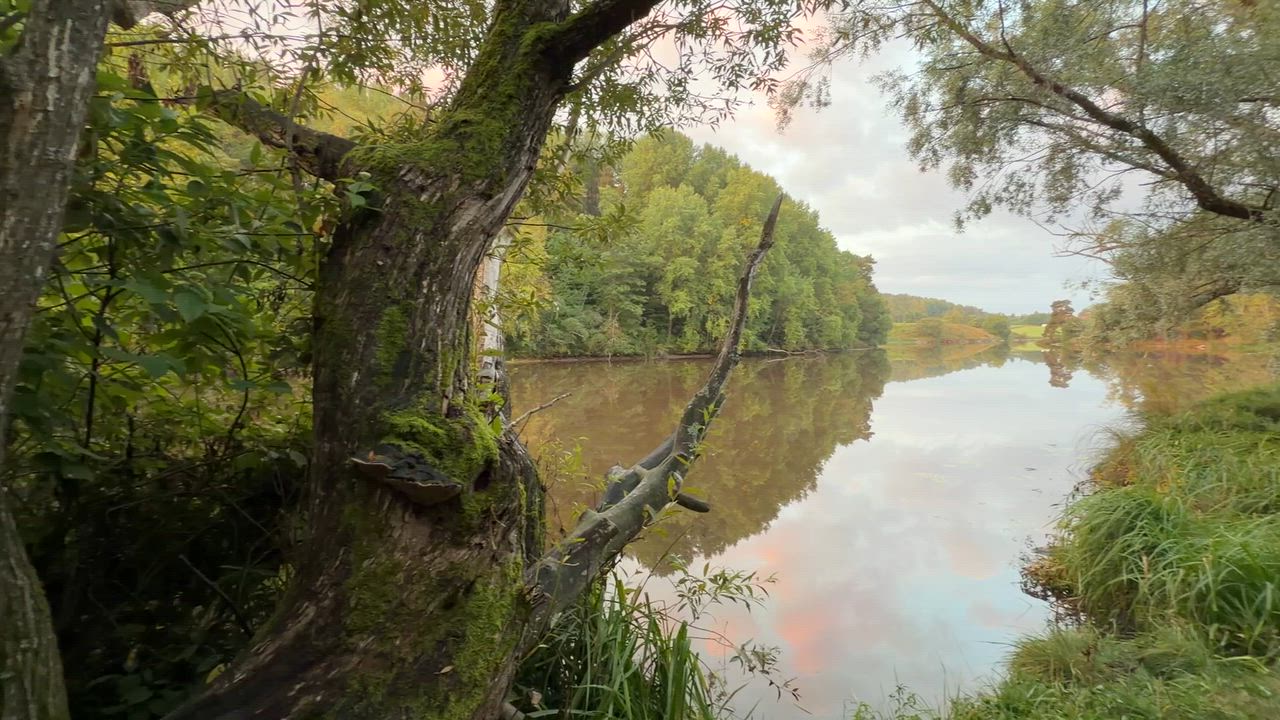Syyskuun eka aamu…Aurajoki, Auranlaakso 1.9.2026 Klo:6.15 Turku