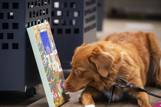 Kuva: JARNO PELLINEN