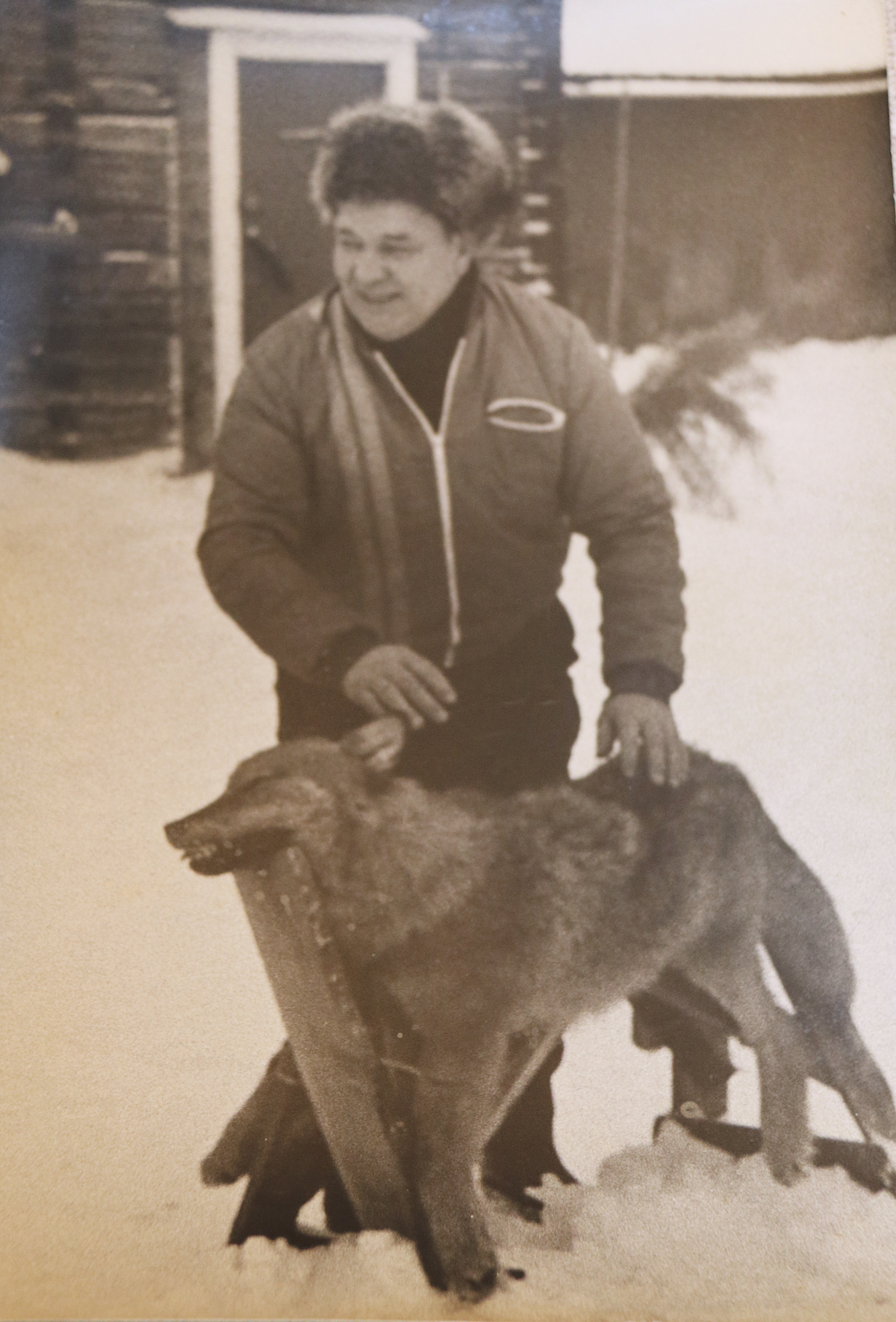 Timo ja Teuvo Karhulla on monia muistoja lapsuusmaisemistaan. Yksi mieleen painunut tapaus oli susi, joka jäi Tyrnävällä auton alle vuonna 1975. Petoa ihmettelemässä Karhujen Jaakko-isä.