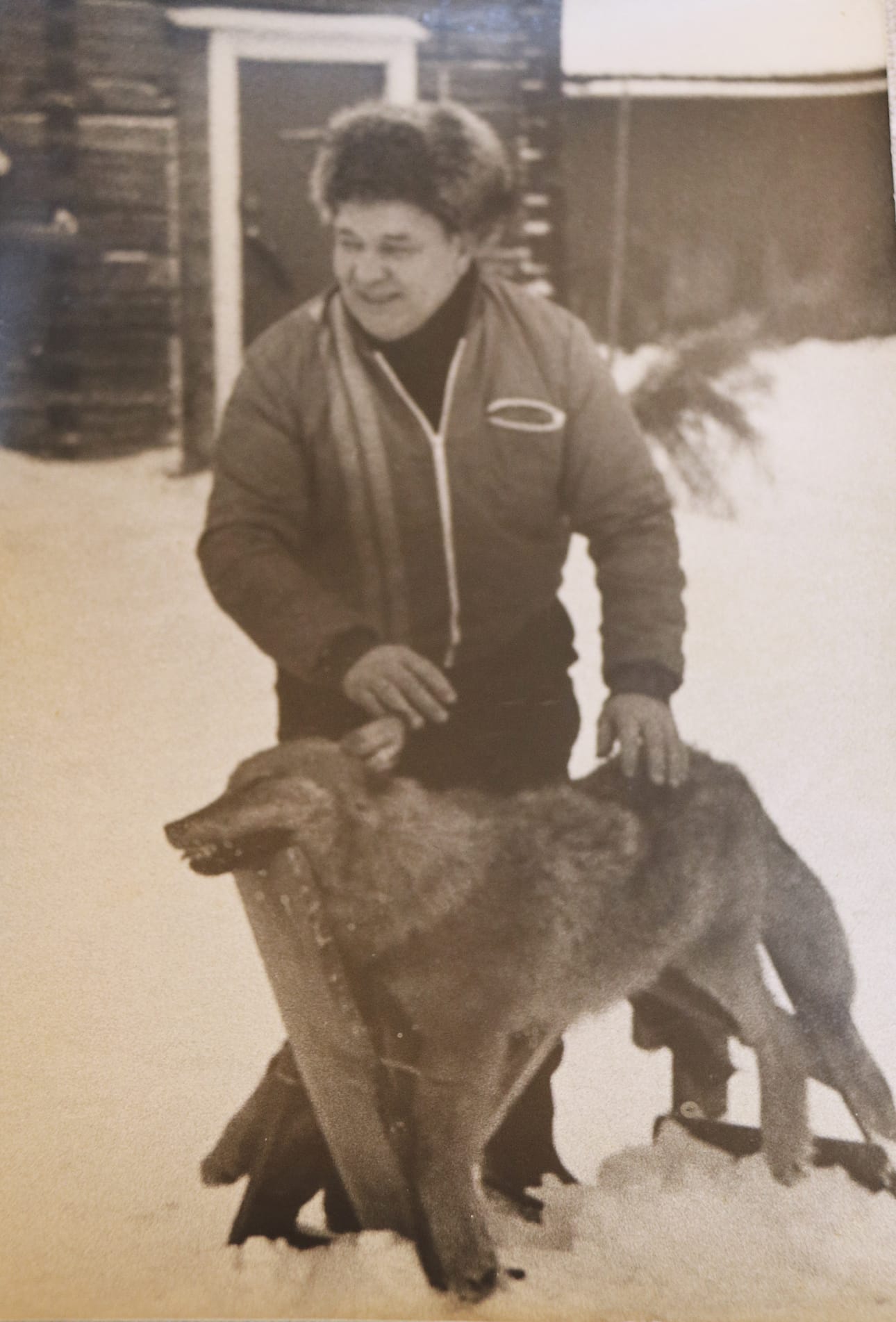 Timo ja Teuvo Karhulla on monia muistoja lapsuusmaisemistaan. Yksi mieleen painunut tapaus oli susi, joka jäi Tyrnävällä auton alle vuonna 1975. Petoa ihmettelemässä Karhujen Jaakko-isä.