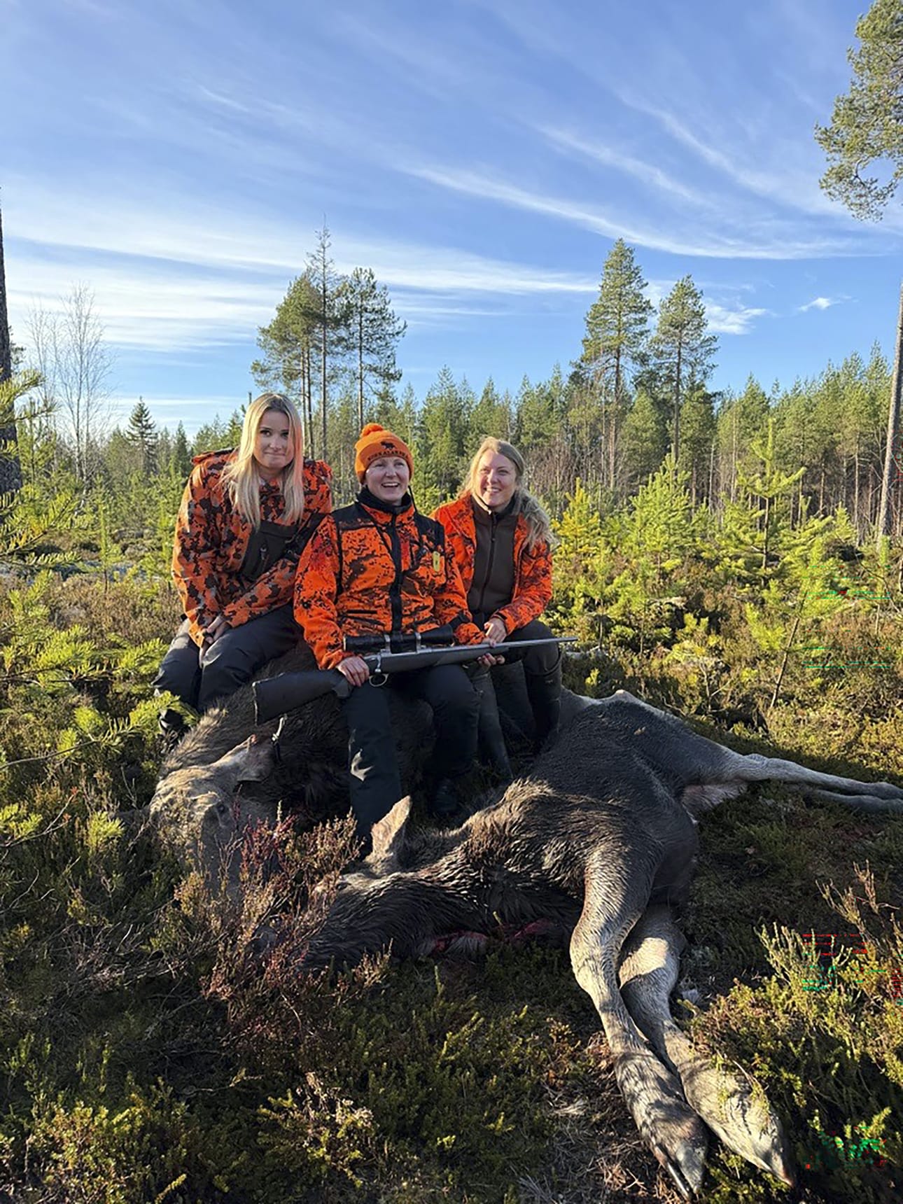 Tyrnäväläisessä Kallioaron hirviporukassa hirvet kaatuivat toissaviikonloppuna naisten voimin. Ensin seurueen saksalaisvieras Katrin Herrendorf (oikealla) kaatoi hirven heti lauantaiaamuna, ja saman päivän aikana myös 16-vuotias Fiia Suotula (vasemmalla) sai ensimmäisen hirvensä. Sunnuntaina kolmikon kaatoja täydensi vielä Päivi Murtomäki (keskellä), jonka kiväärintähtäimeen tulivat sekä emä että vasa. Kaadot olivat myös Murtomäelle ensimmäiset. – Viikonloppu meni naisille 4–1, totesi metsästyksen johtaja Pasi Suotula.