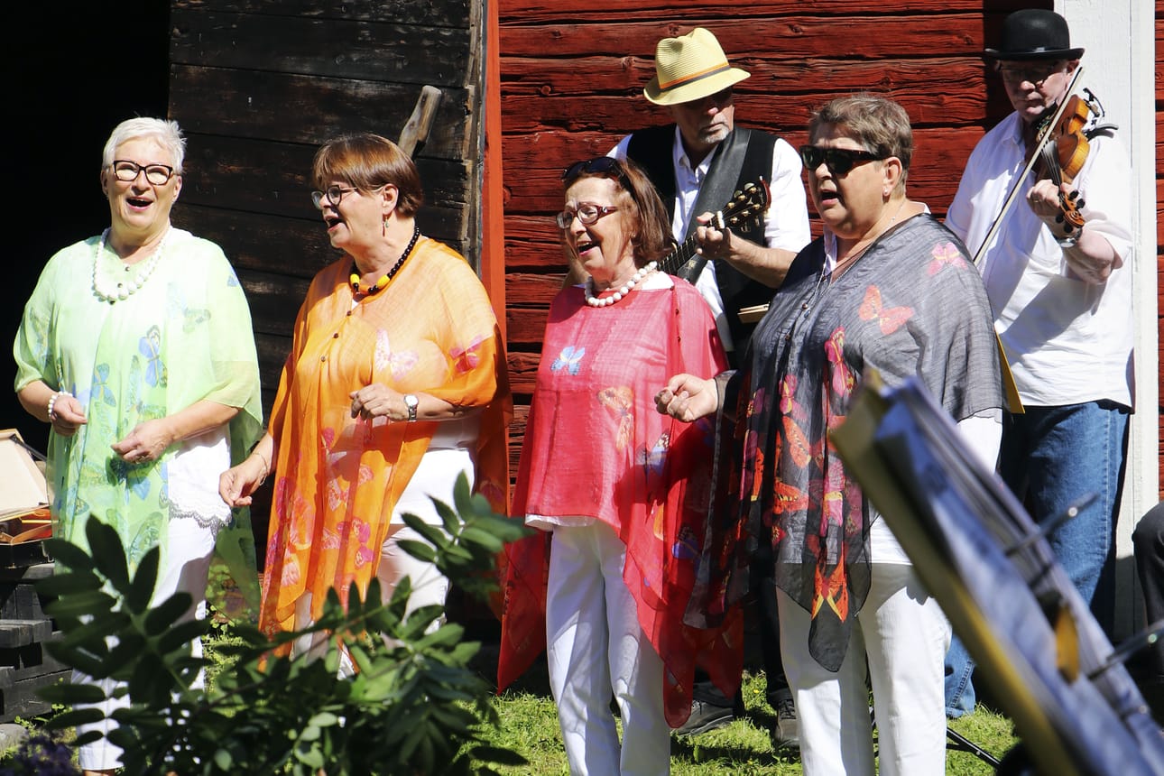 Laulu kun soi, kulkea voi rinnakkain! Puistolan tädit Inka Nenonen, Anni Urpelainen, Eila Pakkanen ja Helkky Nevalainen viihdyttivät Päivikin päivillä. Taustoista vastasivat Oulun Pammauksen Seppo Saarinen (kitara), Erkki Maronen (viulu) ja kuvan ulkopuolelle jäänyt Hannu Ervasti (haitari).
