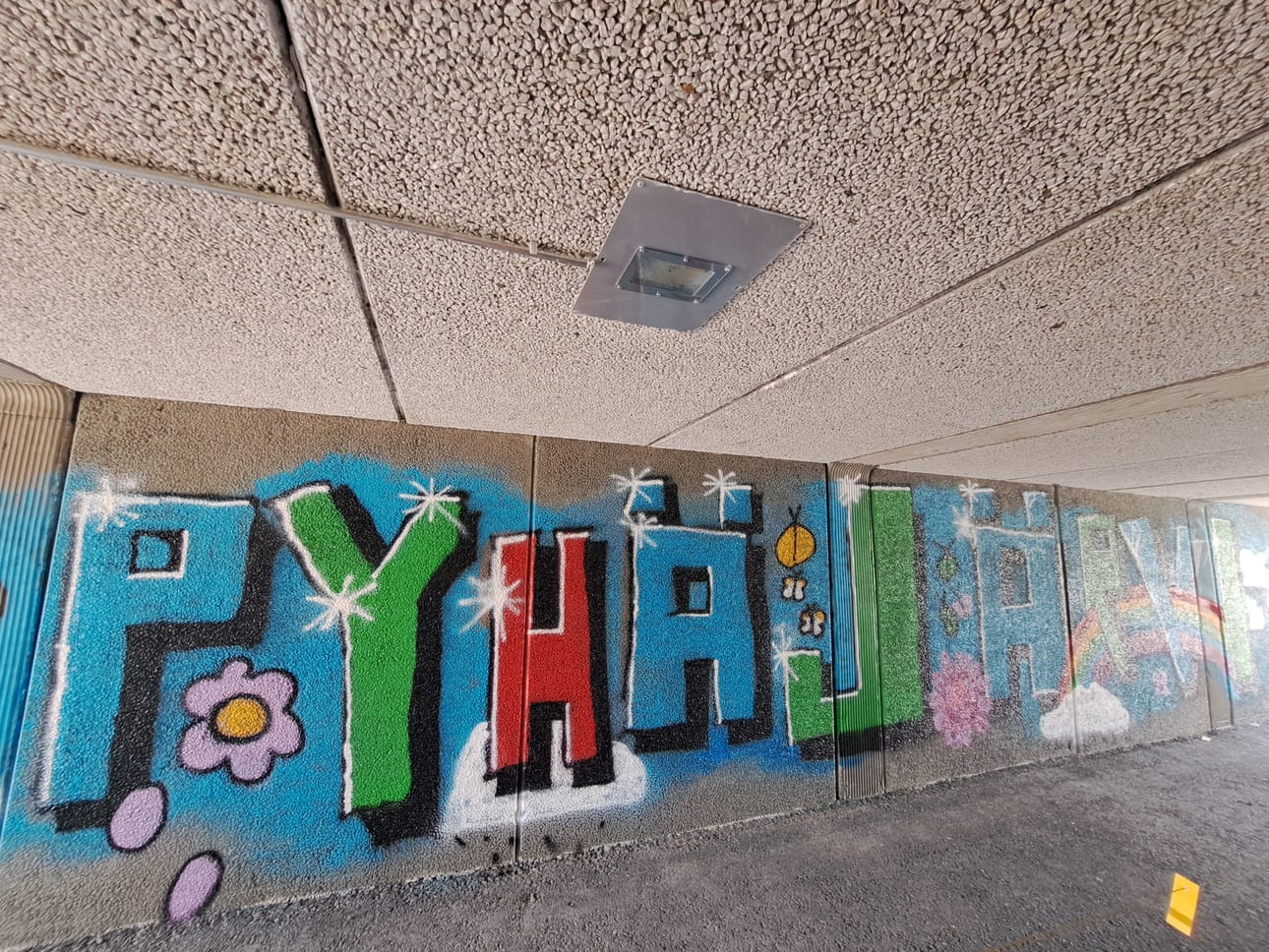 Kuvassa nuorten graffiti alikulussa Pyhäjärvellä.