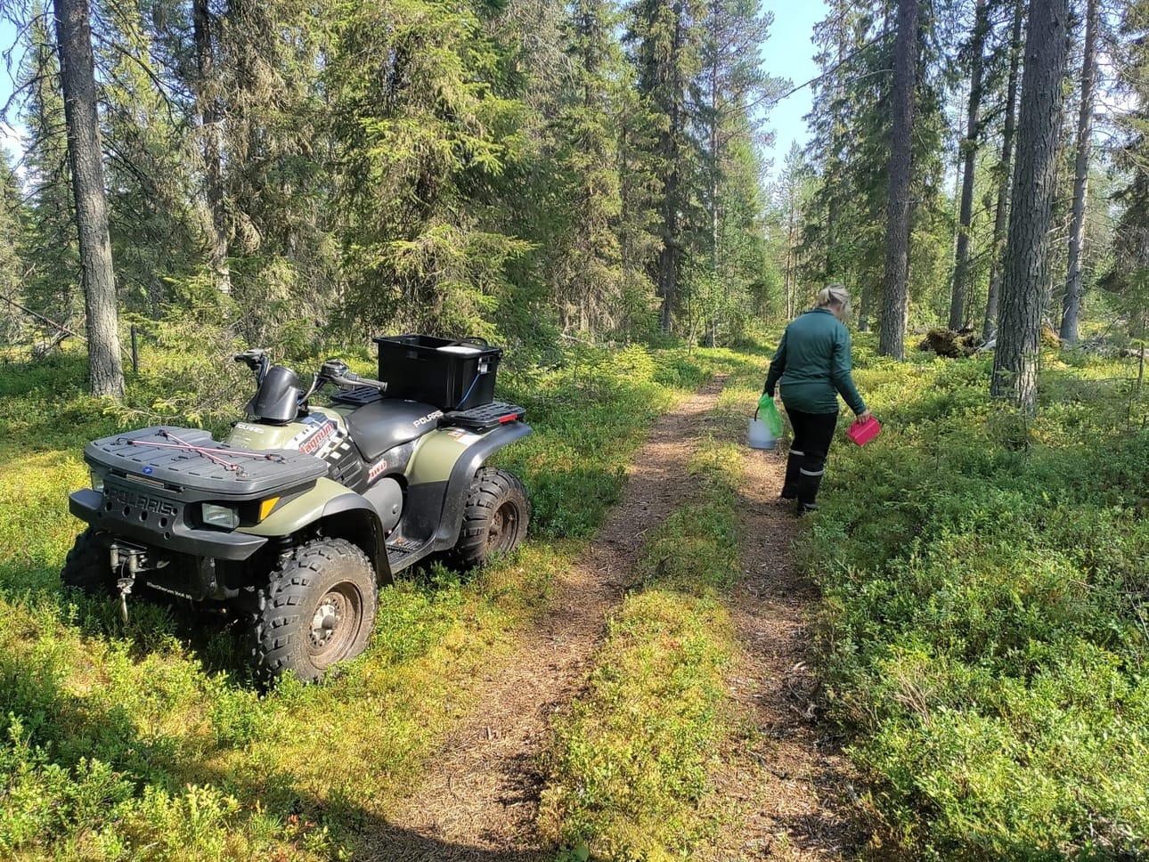 Samalla reissulla hillat, mustikat ja sienet laatikkoon.