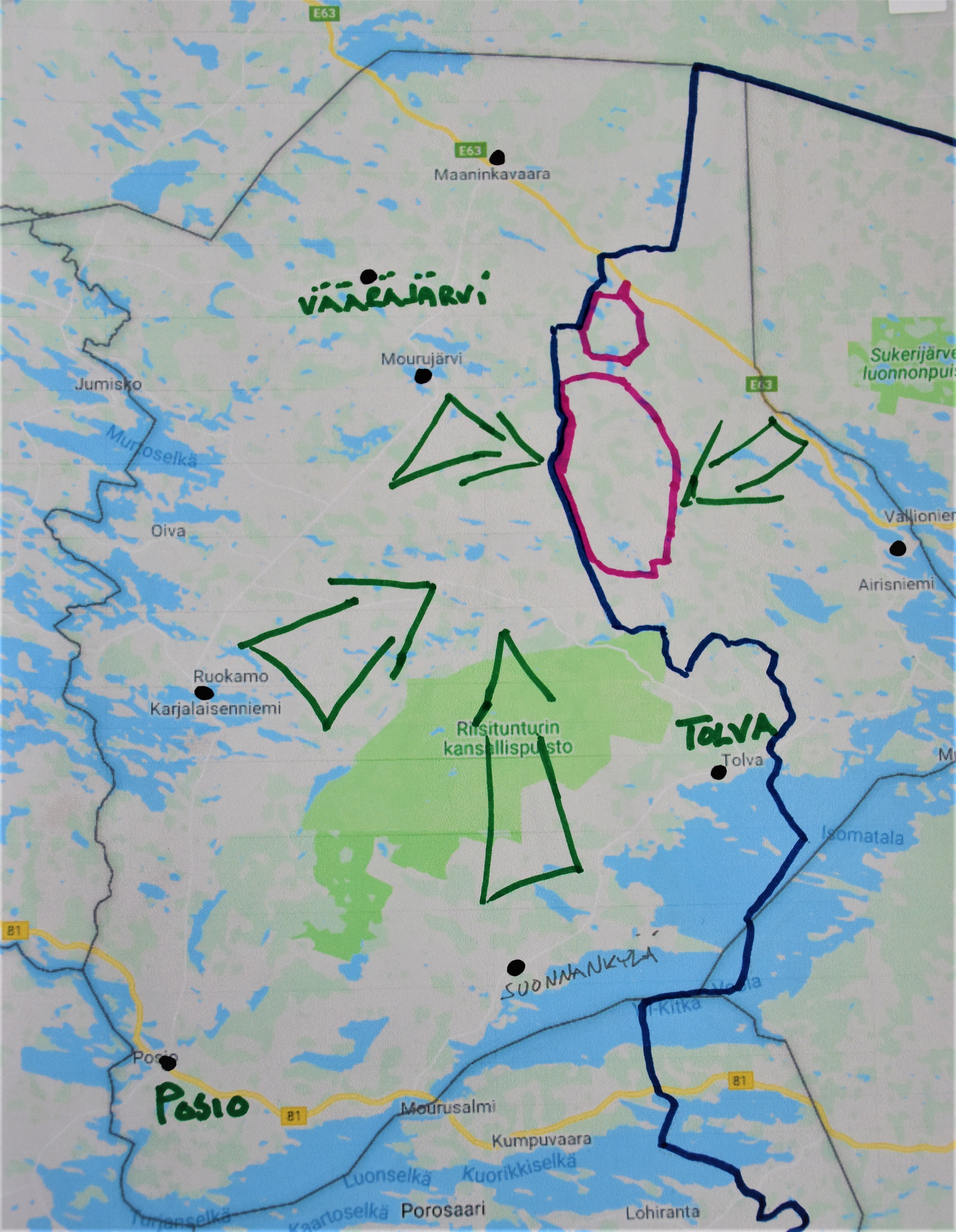 Vihreät nuolet kuvaavat porojen liikettä huhti-toukokuun aikana vasonta-alueelle punaisella merkitylle, suunnitellulle tuulivoimapuiston hankealueelle. Sininen viiva on maakunnan raja.