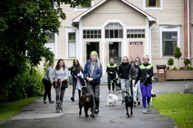 Ohjaajien vislaus kutsuu karvaturrit ja niiden nuoret omistajat Wanhan Karhunmäen pihapiiriin tekemään temppuja. KUVAT: JAAKKO ELENIUS