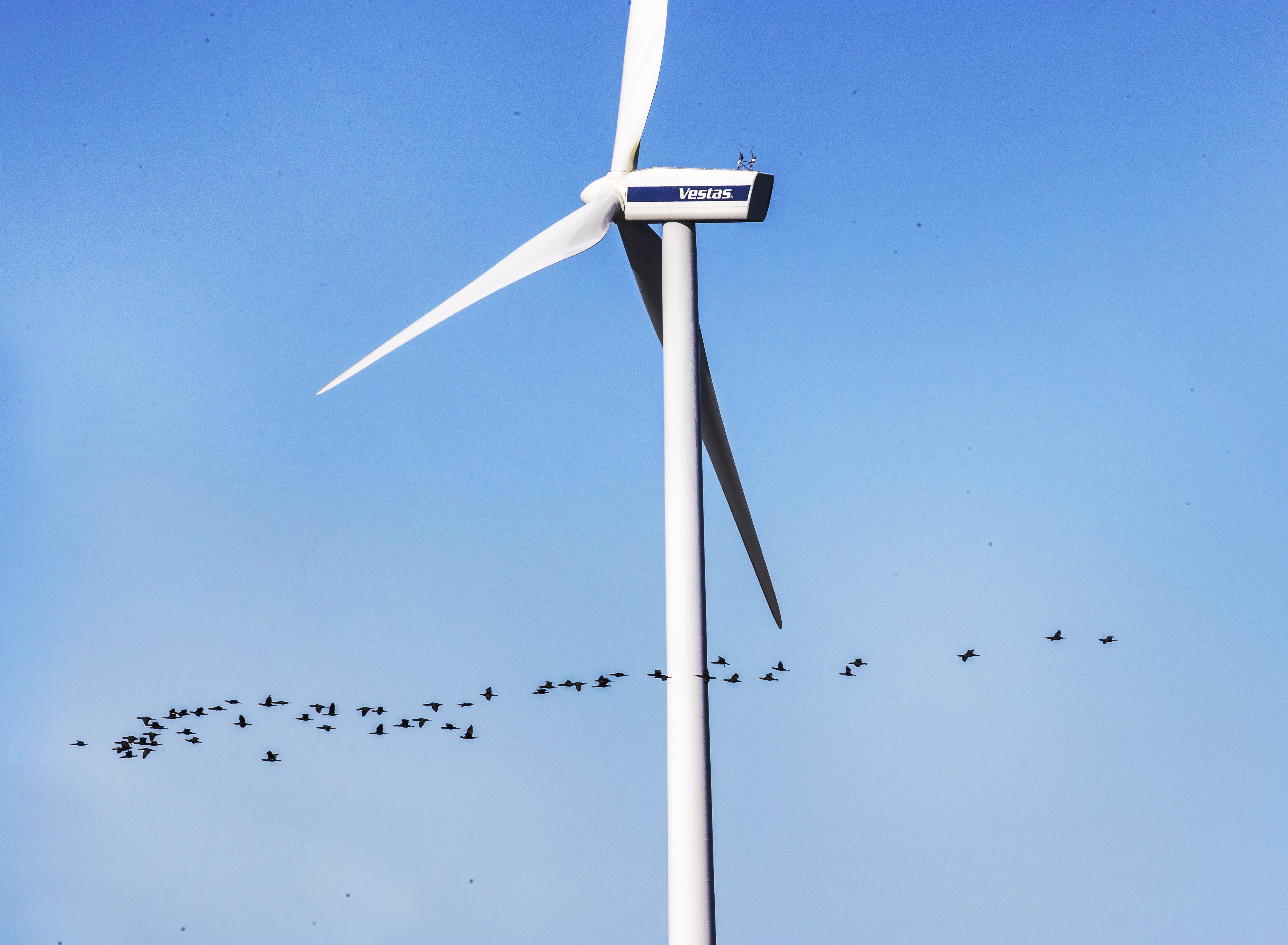 Tuulivoimayhtiö Lumituulen uusin yleisöanti ylimerkittiin kolmessa tunnissa – yhtiö keräsi lähes miljoona euroa kuukauden sisällä