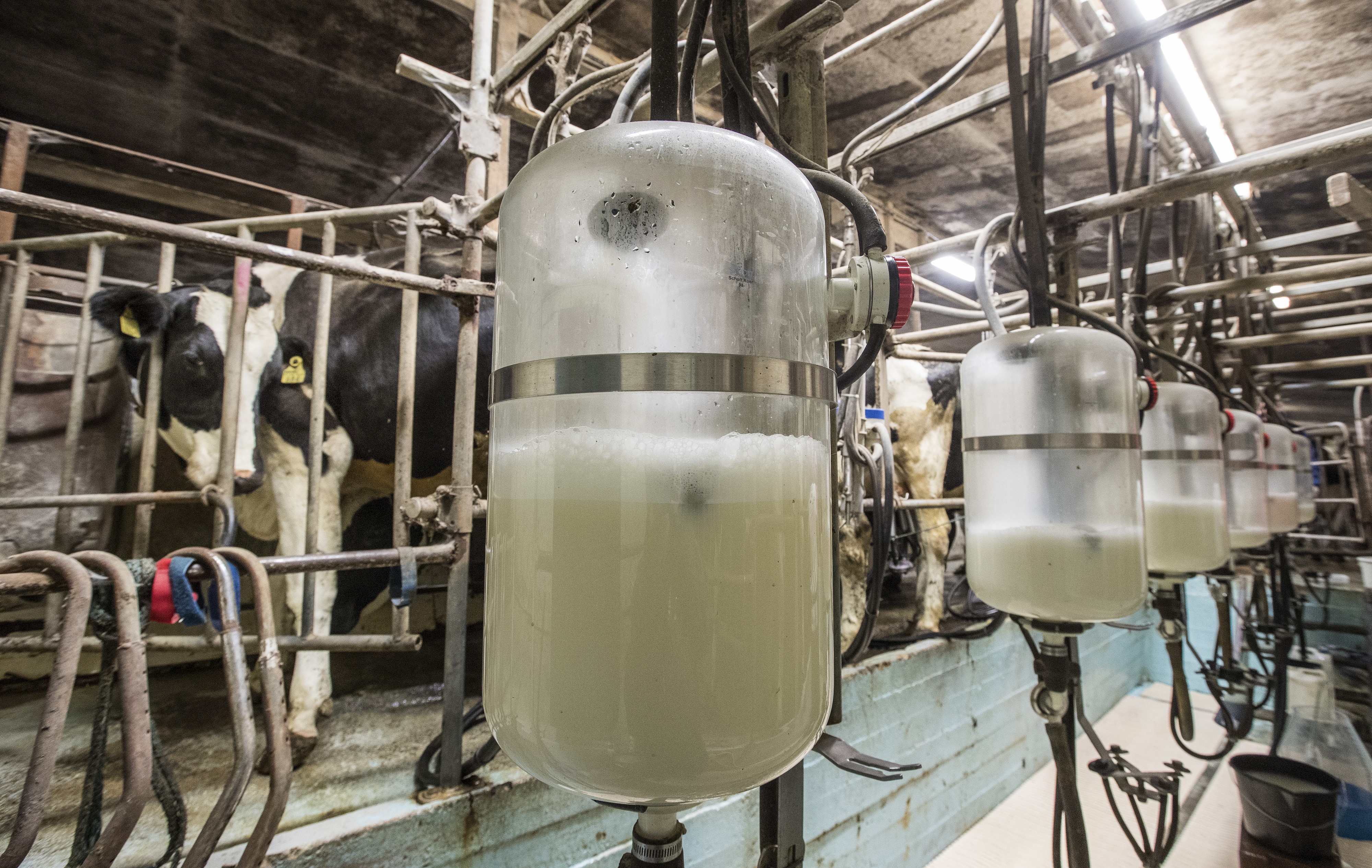 Moni kokee tilan jatkamisen kunnia-asiana. Sukupolvien ajan toimineen tilan lopettaminen on monelle kova paikka. 