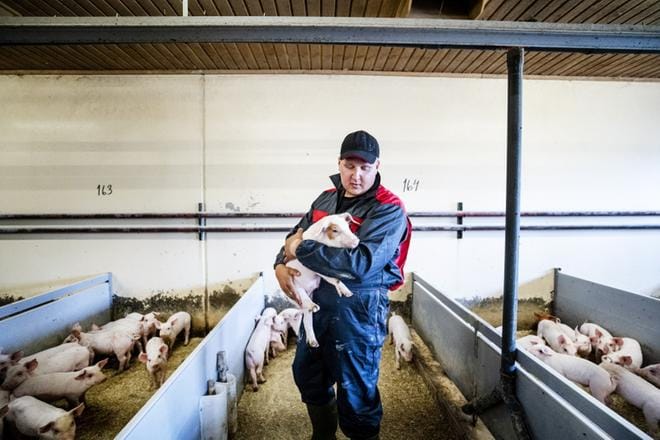 Antti Hyppönen on sikatilan tuore isäntä, kun tilalla tehtiin viime vuonna sukupolvenvaihdos. Hän luottaa, että kysyntää kotimaiselle sianlihalle löytyy myös tulevaisuudessa. KUVA: KRISTA LUOMA