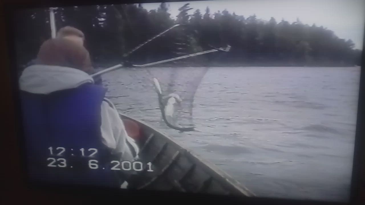 VID_20190330_201004.mp4
