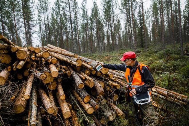 Lapin yhteismetsän sihteeri Jukka Aula kävi tarkastamassa yhteismetsän harvennushakkuukohteen Rovaniemen Veittivaarassa. – Kertymä oli arvioitua suurempi. Noudatamme hakkuissa hyvän metsänhoidon suosituksia, hän sanoo. KUVA: Jouni Porsanger