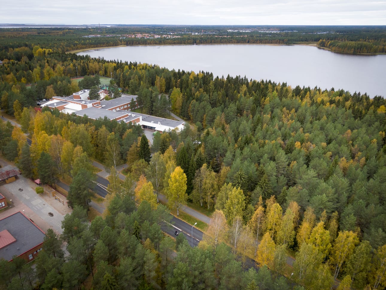 Nyyrikinpuisto on Kaijonharjussa Kaitoväylän ja Kuivasjärven välissä oleva metsäalue.