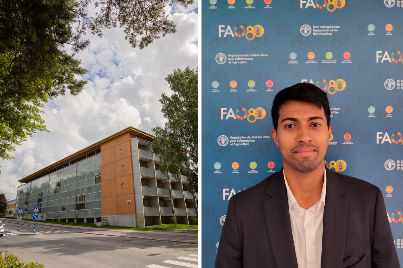 Heinäkuun lopussa Vaasaan muuttava John Paul ei ole löytänyt vuokra-asuntoa. Vasemmalla Voasin uusi talo Palosaarella.