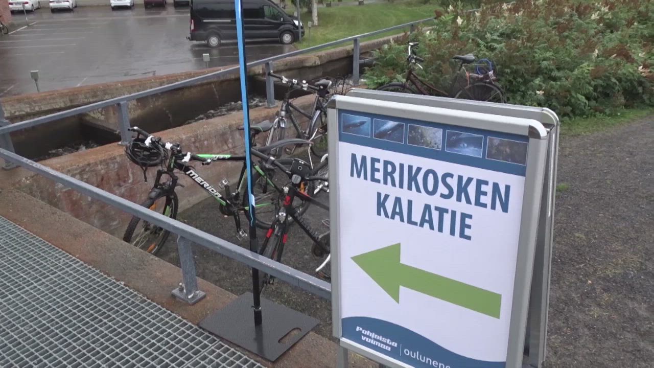 Merikosken kalatiellä avoimet ovet