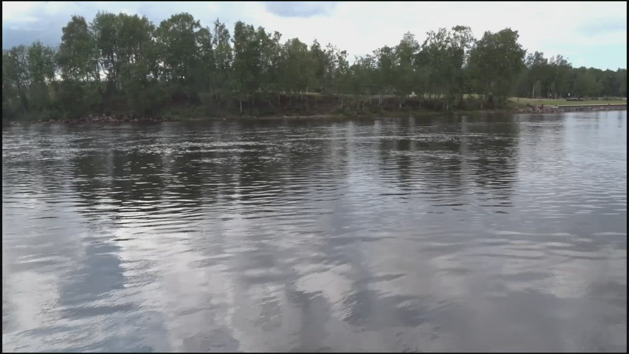 Lohi_valmis.mp4
