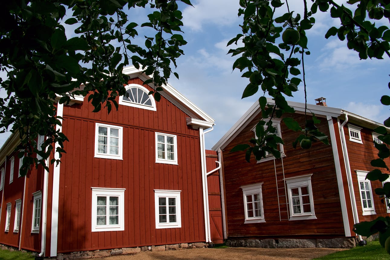 Hämes-Havusessa avautunut Ryijyn lumo on laajin Etelä-Pohjanmaalla järjestetty näyttely aiheesta vuosikausiin. Se esittelee lähes 150 ryijyä, joista vanhin on 1700-luvulta.