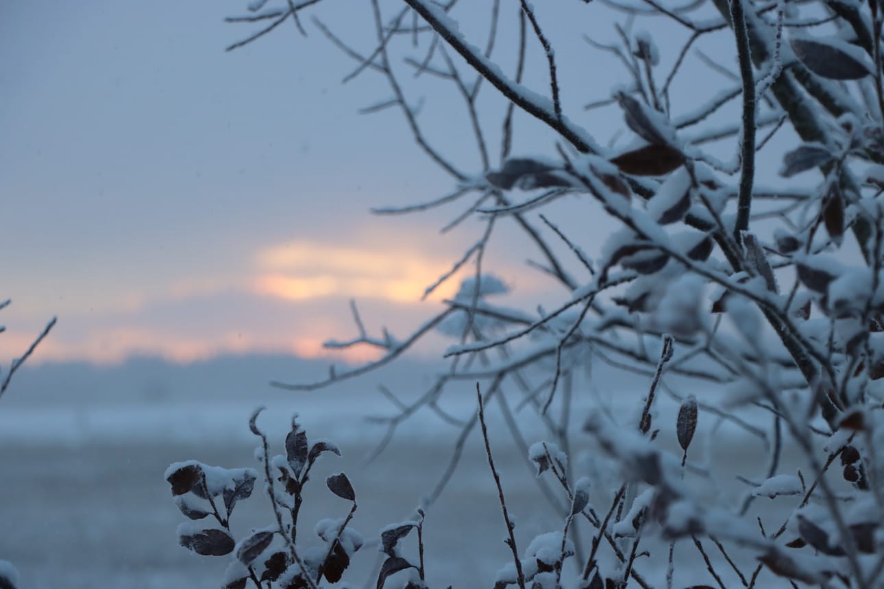 Kuvituskuva Jurvanjärveltä.